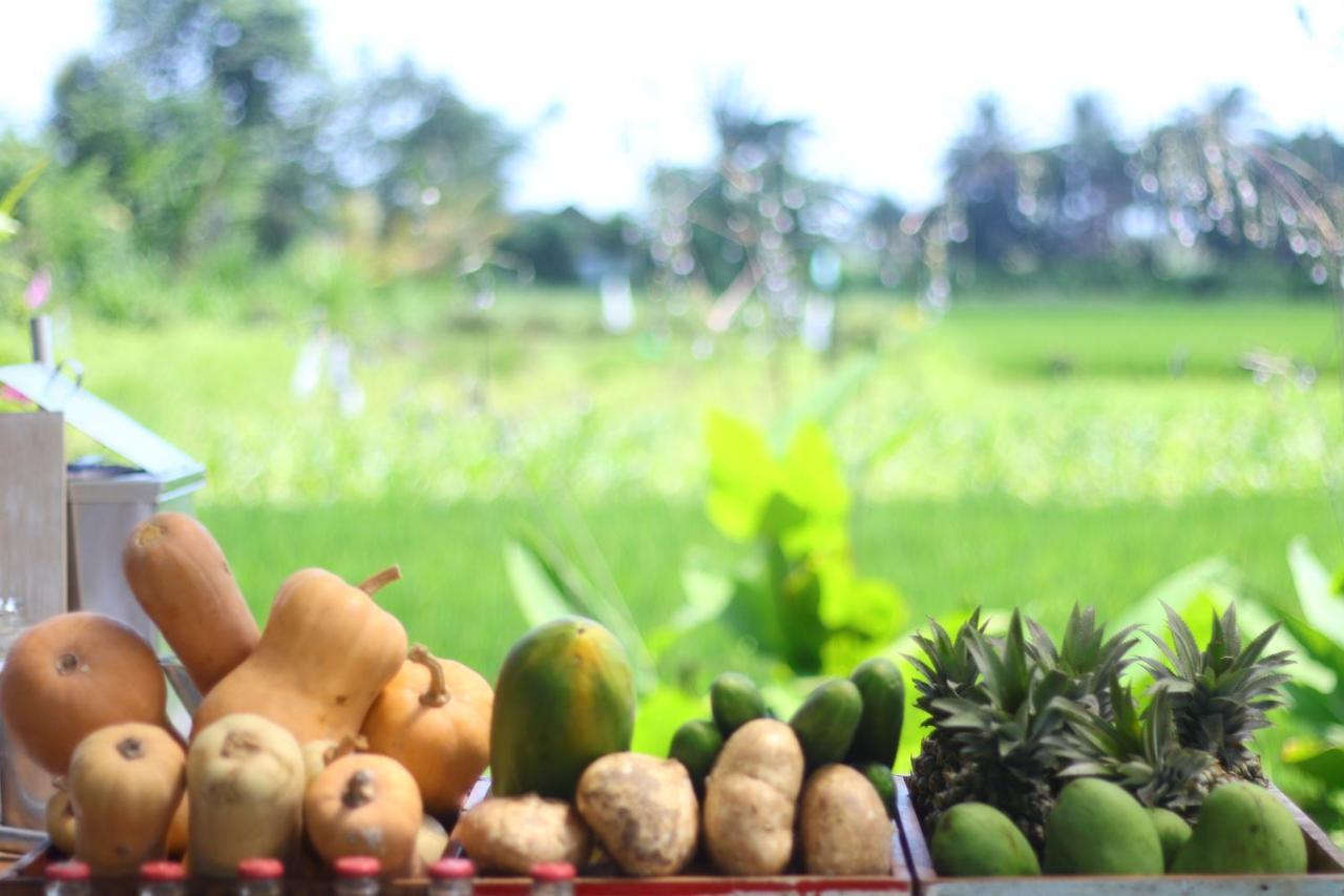 Nauna Villa Ubud Eksteriør billede