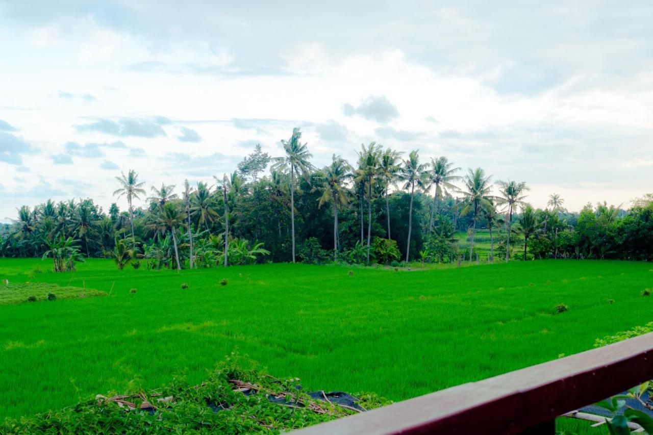 Nauna Villa Ubud Eksteriør billede