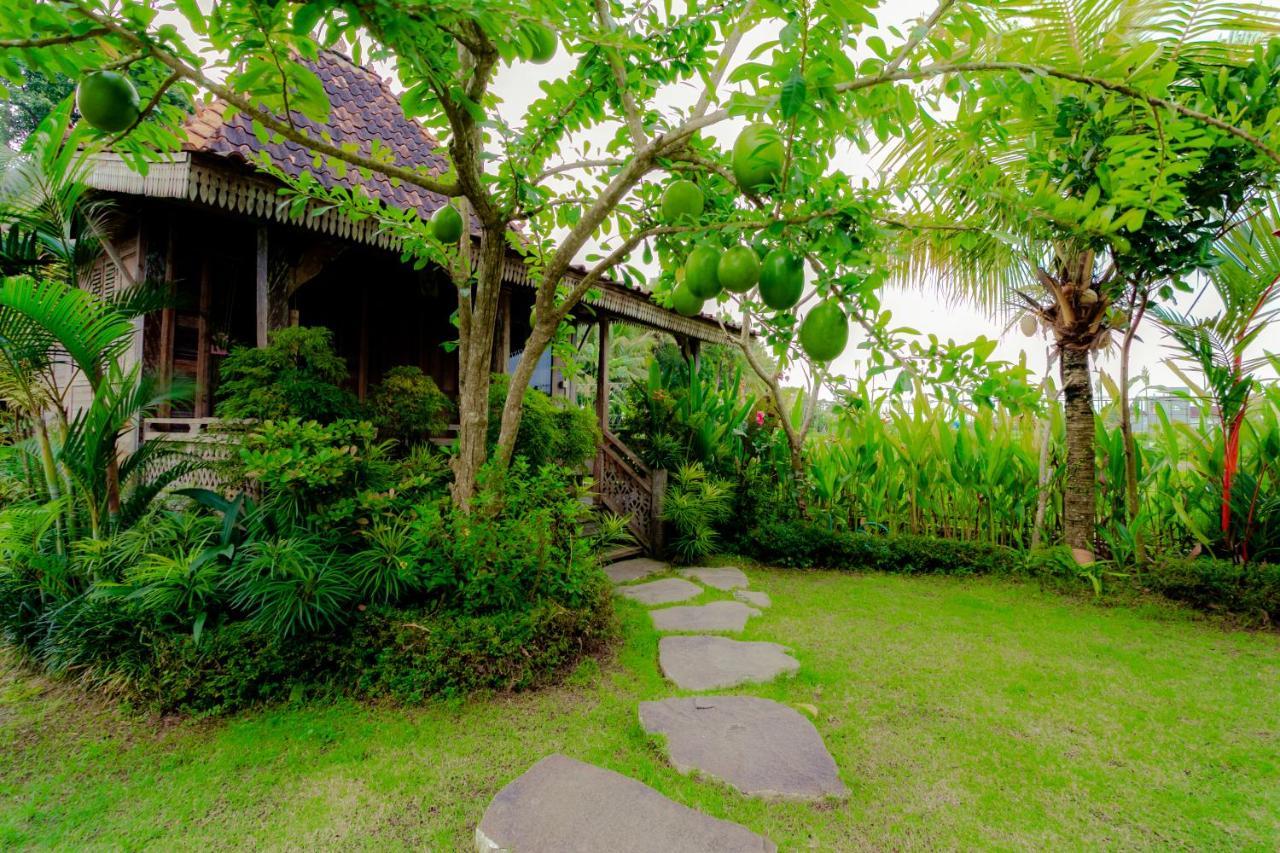 Nauna Villa Ubud Eksteriør billede