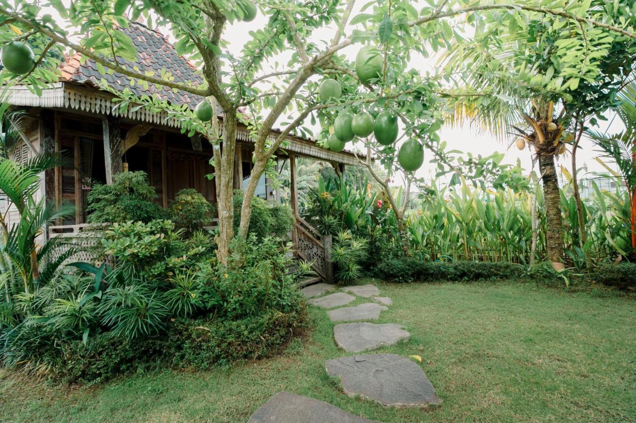 Nauna Villa Ubud Eksteriør billede